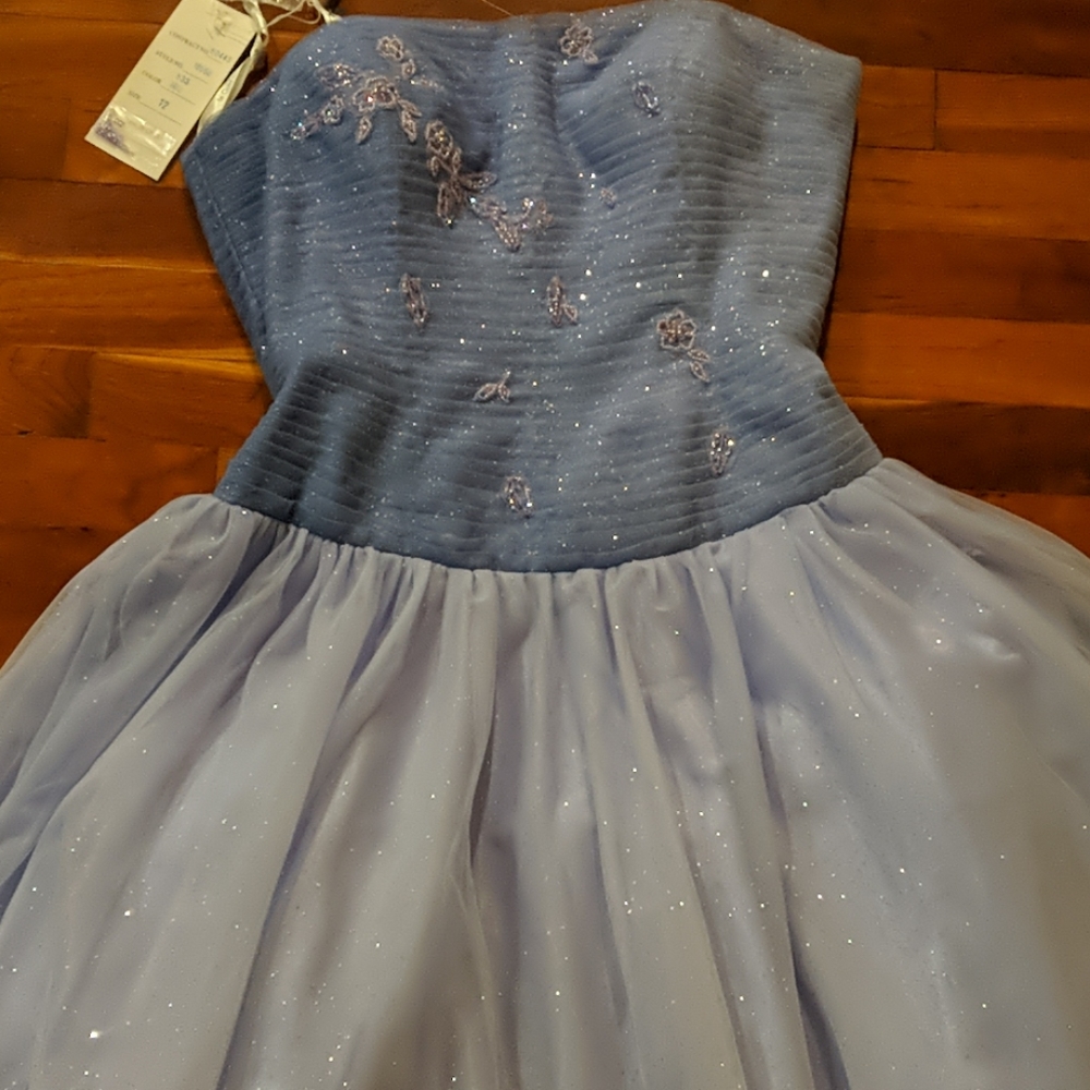 Le Gala by Mon Cheri beautiful unworn dress!
